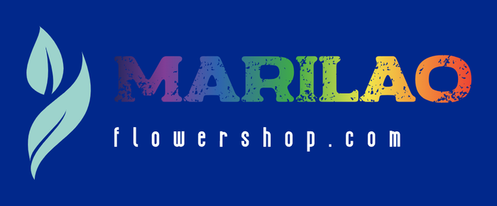 Flower Delivery Marilao